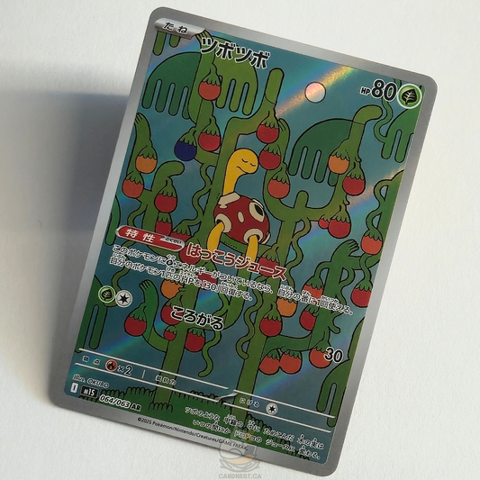 Shuckle AR 064/063 Full Art – Mega Symphonia – Near Mint – Japanese
