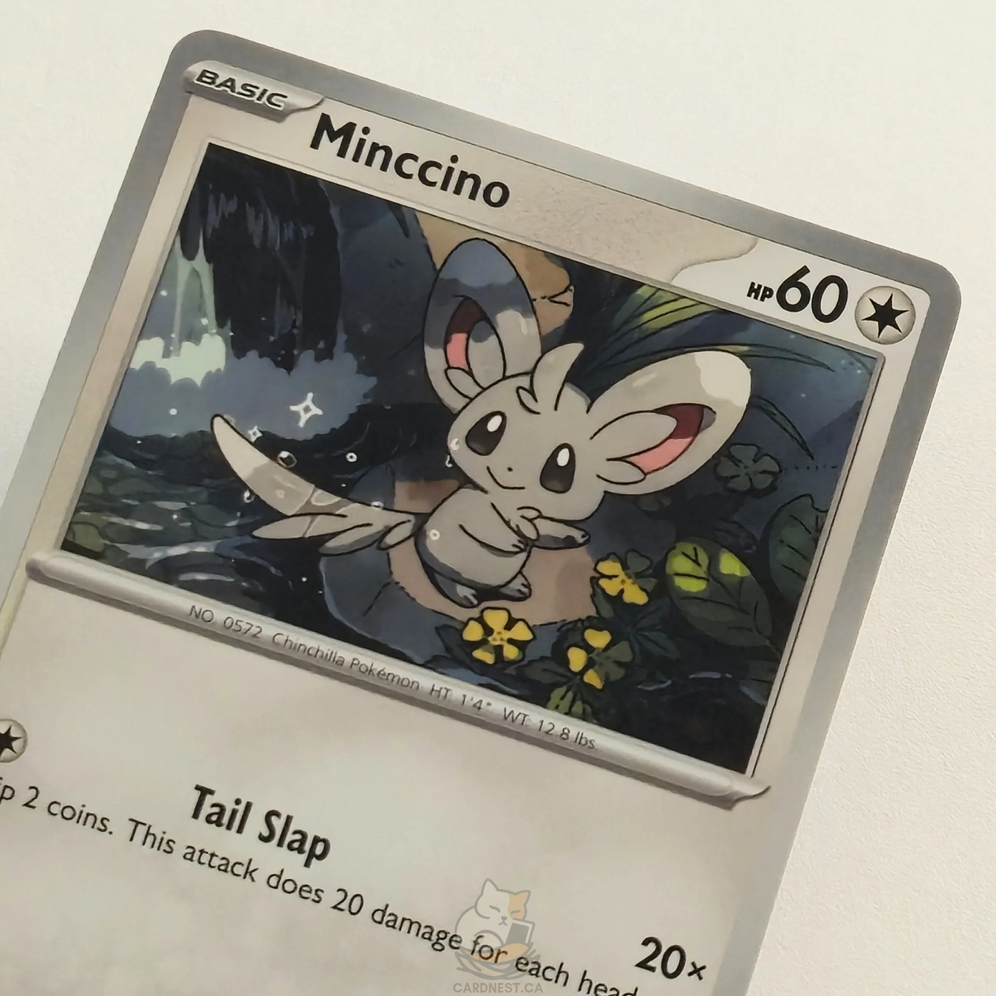 Minccino 075/086 – Black Bolt – Near Mint – English
