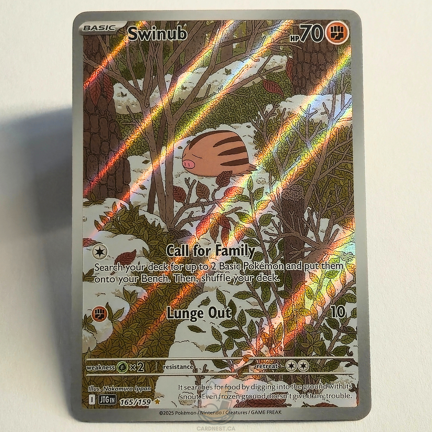 Swinub 165/159 Full Art Illustration Rare – Journey Together – Near Mint – English