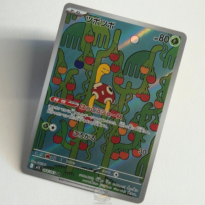 Shuckle AR 064/063 Full Art – Mega Symphonia – Near Mint – Japanese