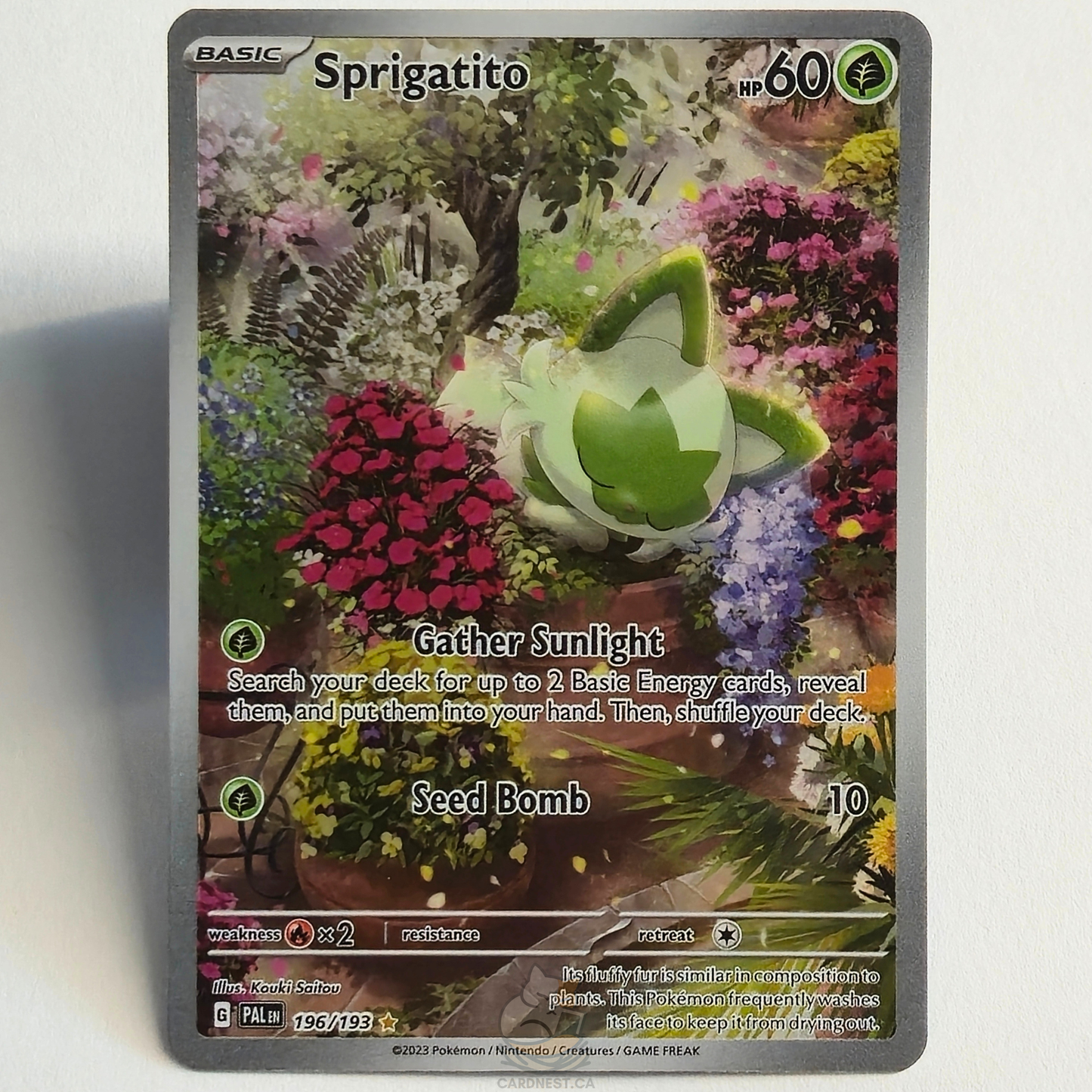 Sprigatito 196/193 Full Art Illustration Rare – Paldea Evolved – Near Mint – English