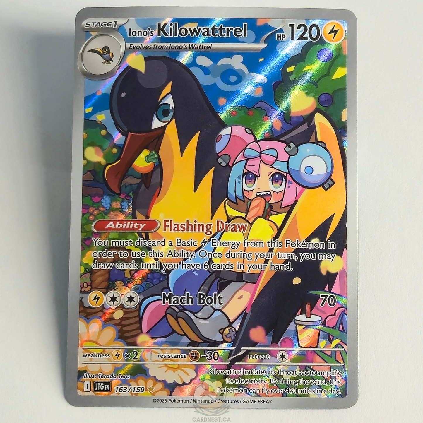 Iono's Kilowattrel 163/159 Full Art Illustration Rare – Journey Together – Near Mint – English