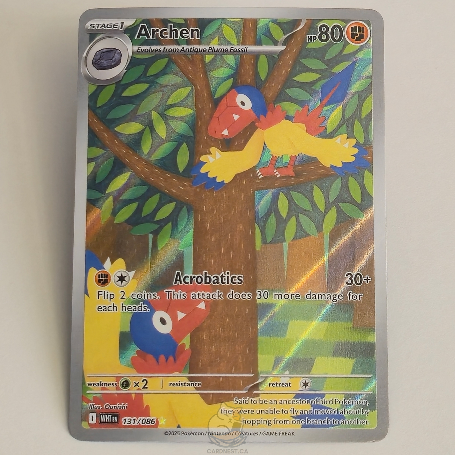 Archen 131/086 Full Art Illustration Rare – White Flare – Near Mint – English