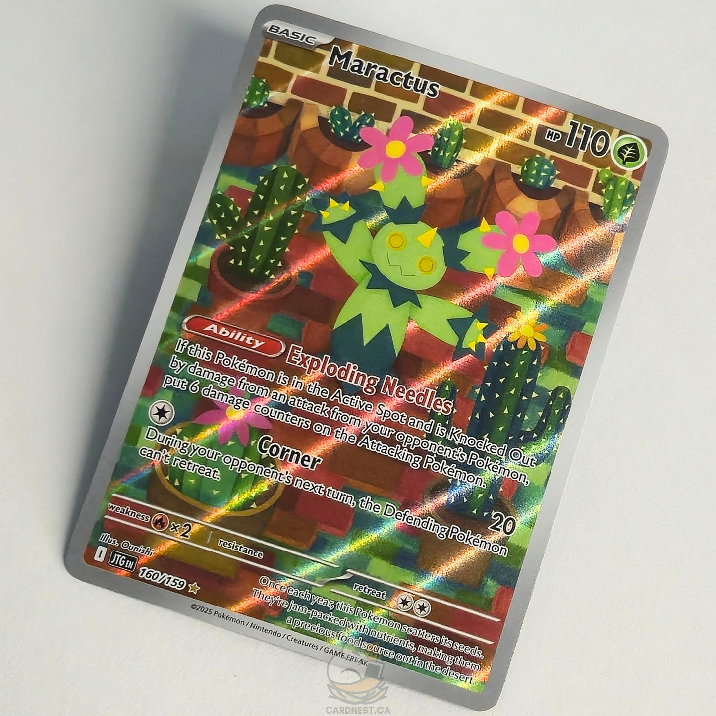 Maractus 160/159 Full Art Illustration Rare – Journey Together – Near Mint – English