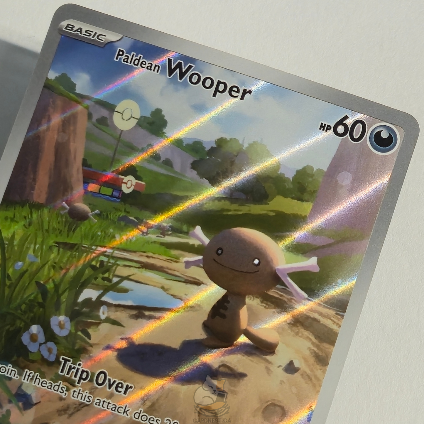 Paldean Wooper 102/094 Full Art Illustration Rare – Phantasmal Flames – Near Mint – English