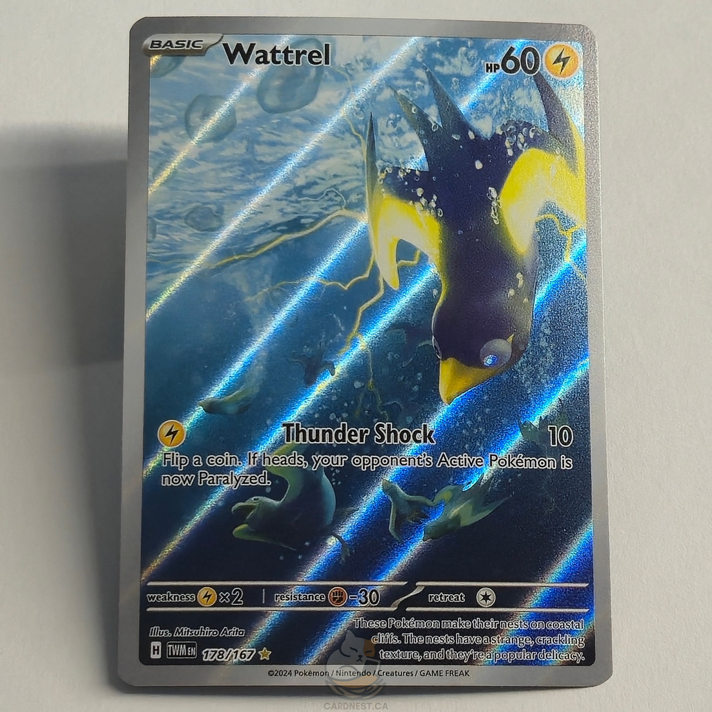 Wattrel 178/167 Full Art Illustration Rare – Twilight Masquerade – Near Mint – English