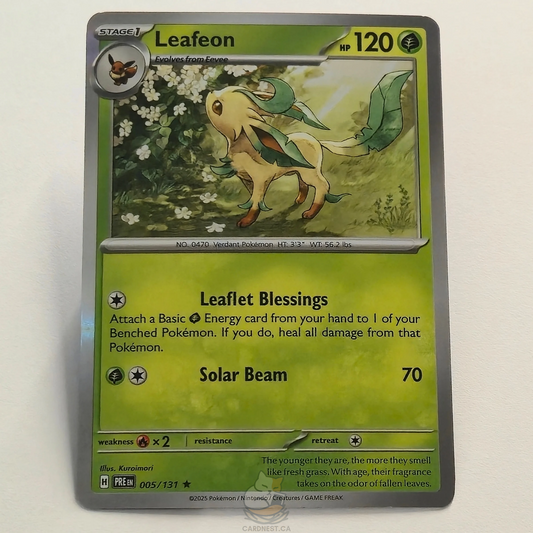 Leafeon 005/131 Holo Pokémon card from Prismatic Evolutions – Near Mint condition