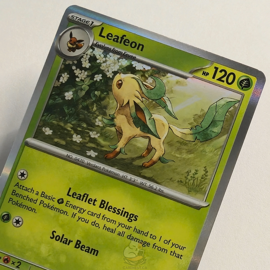 Leafeon 005/131 Holo Pokémon card from Prismatic Evolutions – Near Mint condition