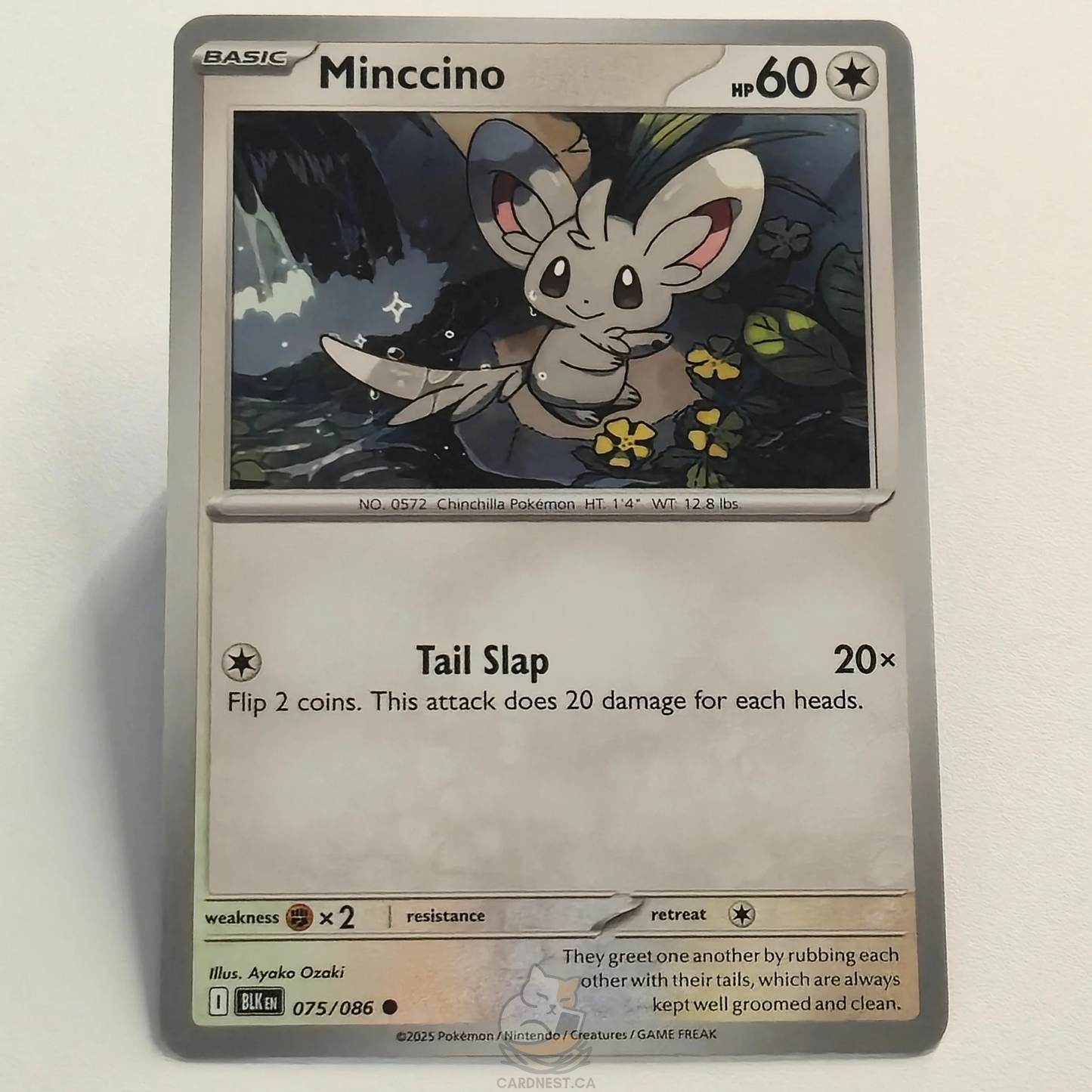 Minccino 075/086 – Black Bolt – Near Mint – English