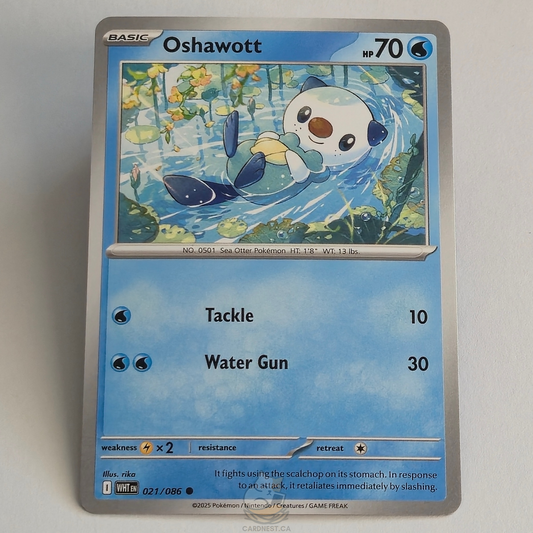 Oshawott 021/086 – White Flare – Near Mint – English