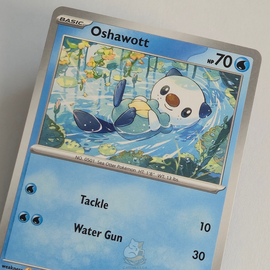 Oshawott 021/086 – White Flare – Near Mint – English