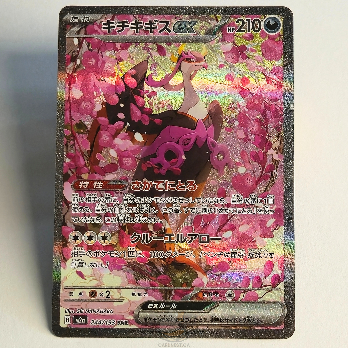 Fezandipiti Ex SAR 244/193 Full Art – Mega Dream Ex – Near Mint – Japanese