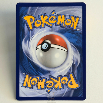 Froakie 088/086 Full Art Illustration Rare – Chaos Rising – Near Mint – English