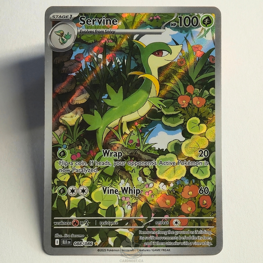 Servine 088/086 Full Art Illustration Rare – Black Bolt – Near Mint – English