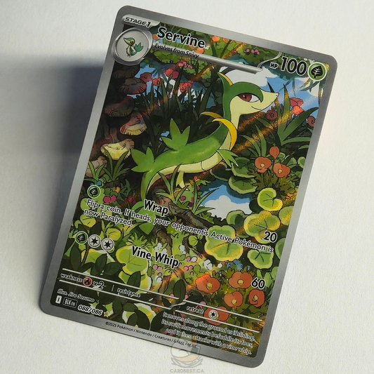 Servine 088/086 Full Art Illustration Rare – Black Bolt – Near Mint – English