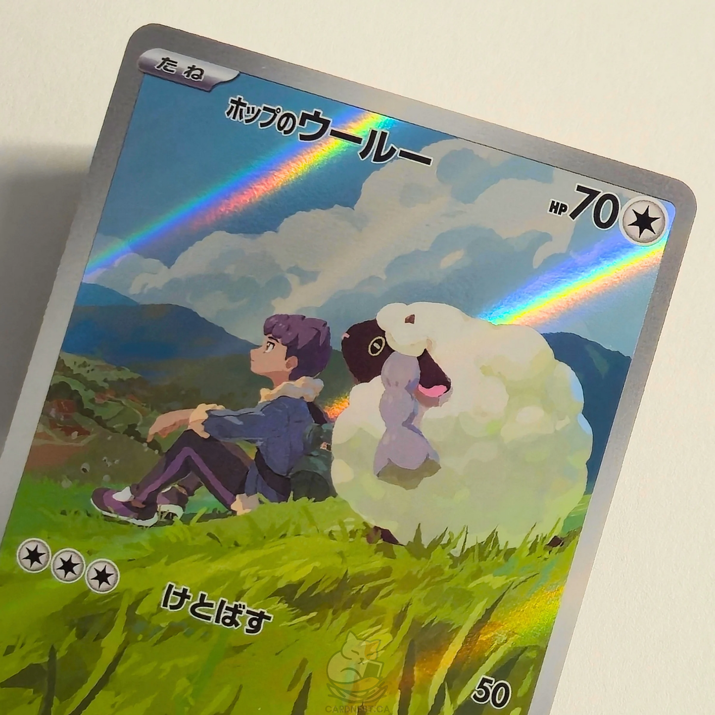 Hop's Wooloo AR 112/100 Full Art – Battle Partners – Near Mint – Japanese