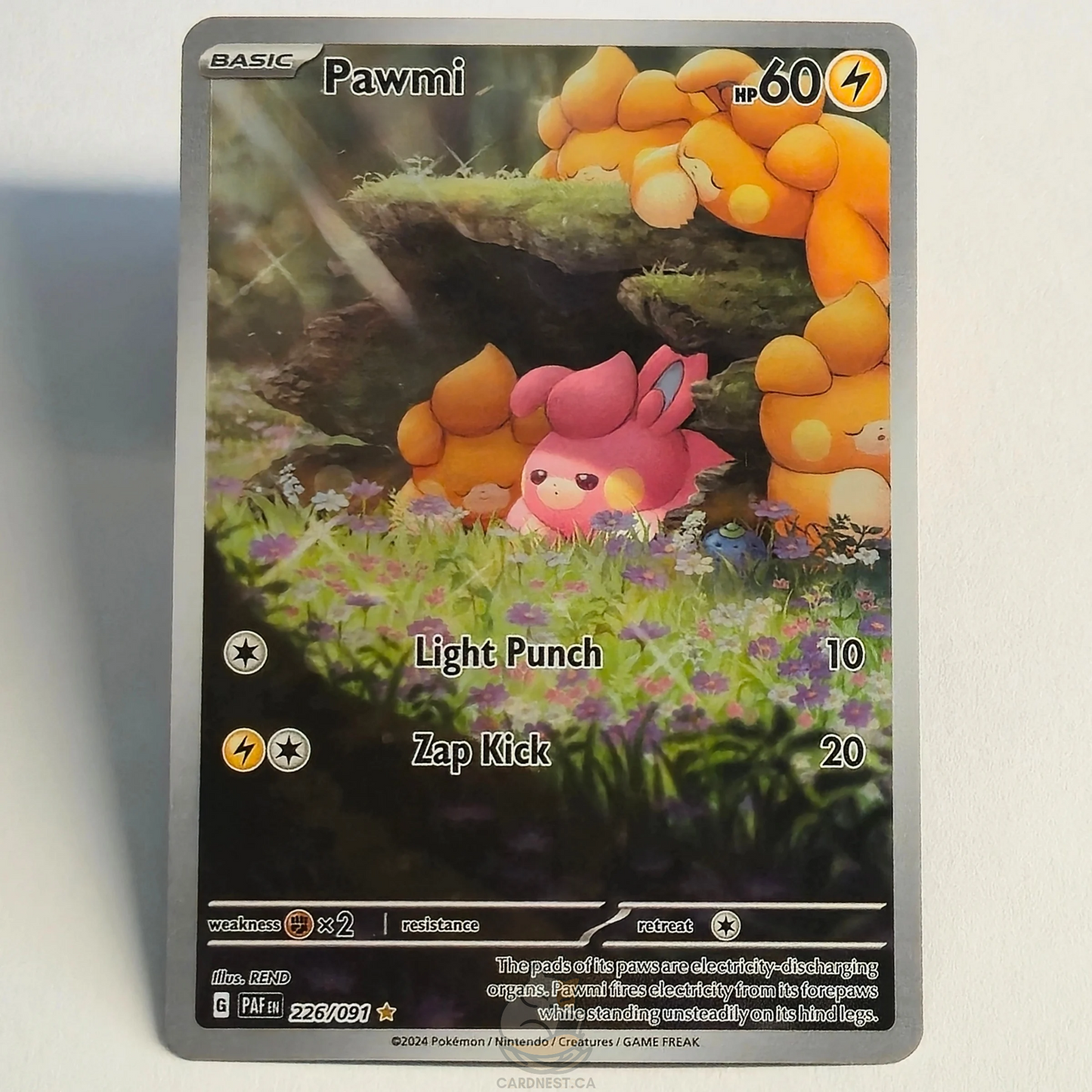 Pawmi 226/091 Full Art Illustration Rare – Paldean Fates – Near Mint – English