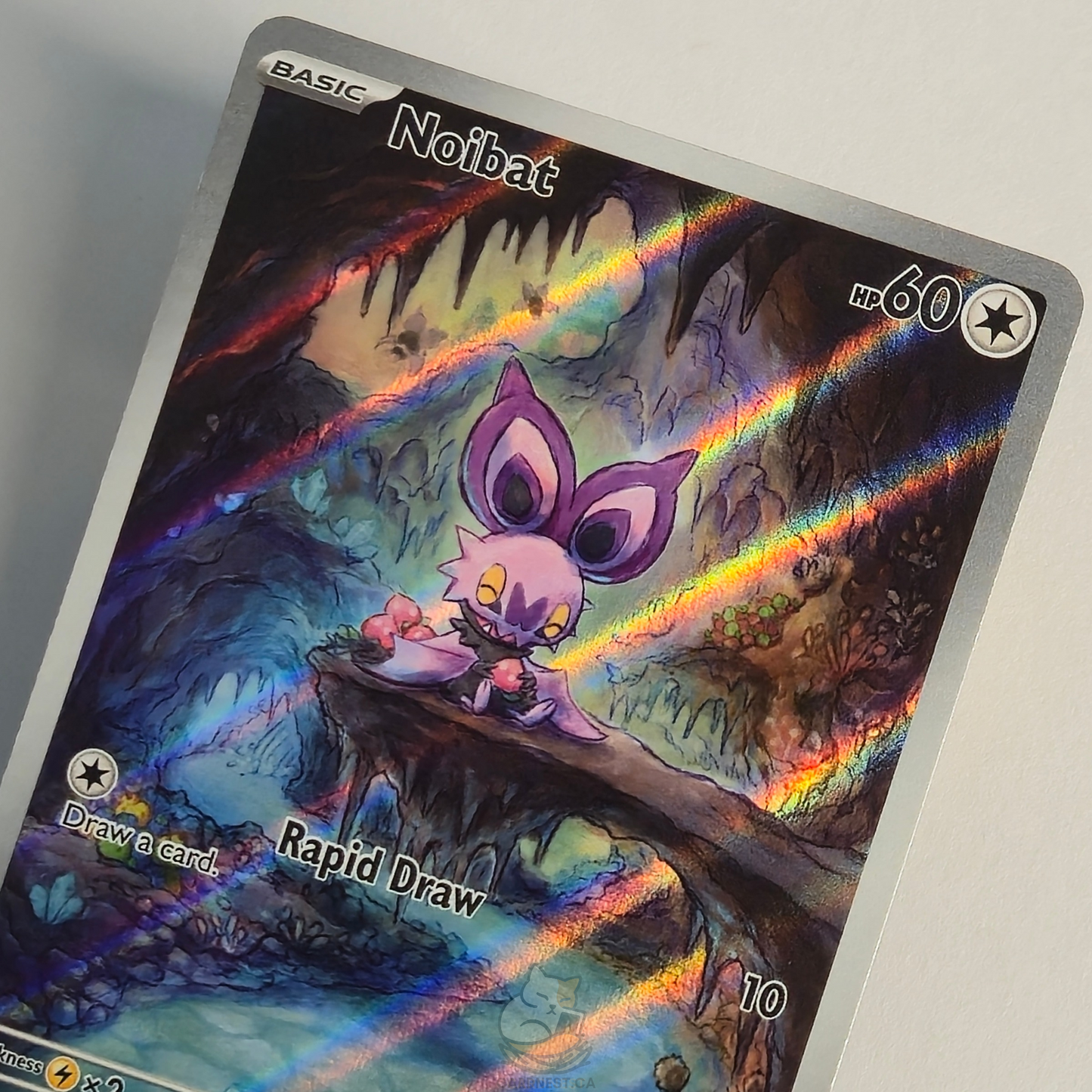 Noibat 169/159 Full Art Illustration Rare – Journey Together – Near Mint – English