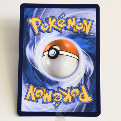 Eevee SVP173 Black Star Promo Full Art Pokémon card from Scarlet & Violet – Near Mint condition – back of card