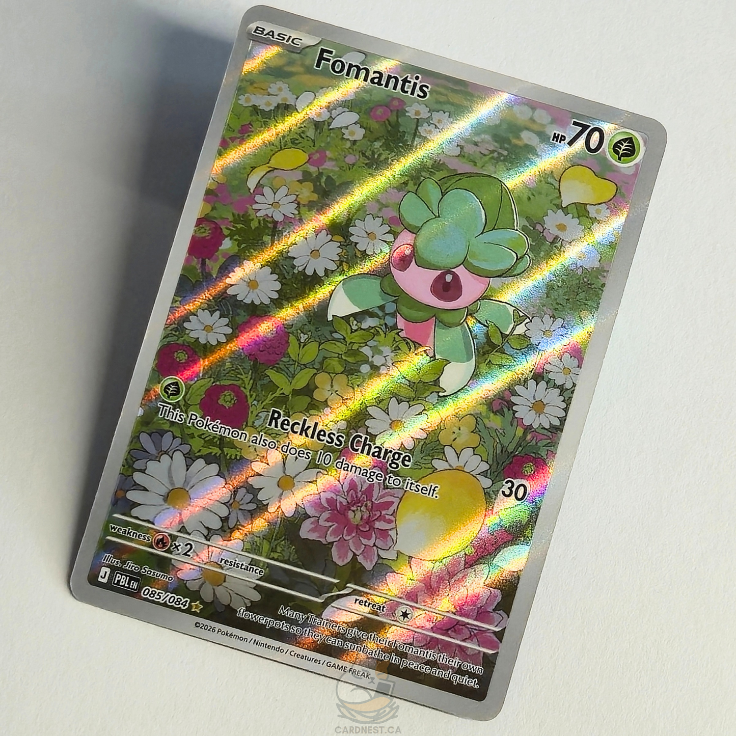 Fomantis 085/084 Full Art Illustration Rare – Pitch Black – Near Mint – English