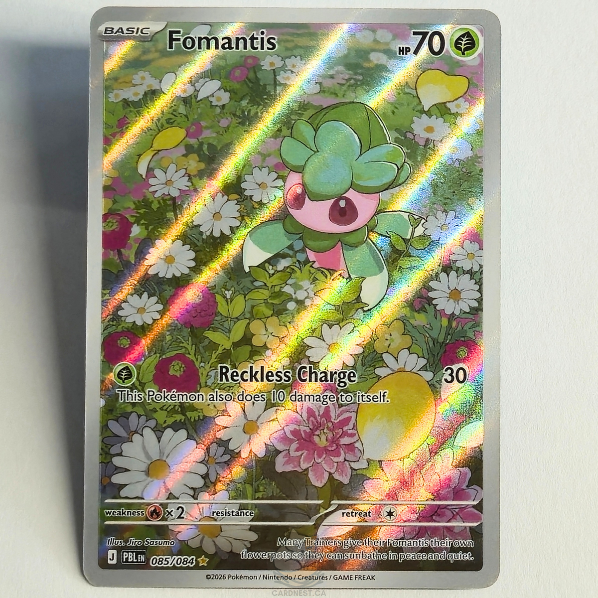 Fomantis 085/084 Full Art Illustration Rare – Pitch Black – Near Mint – English