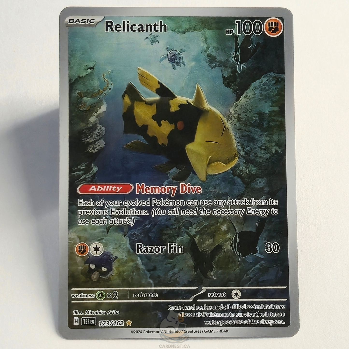 Relicanth 173/162 Full Art Illustration Rare – Temporal Forces – Near Mint – English