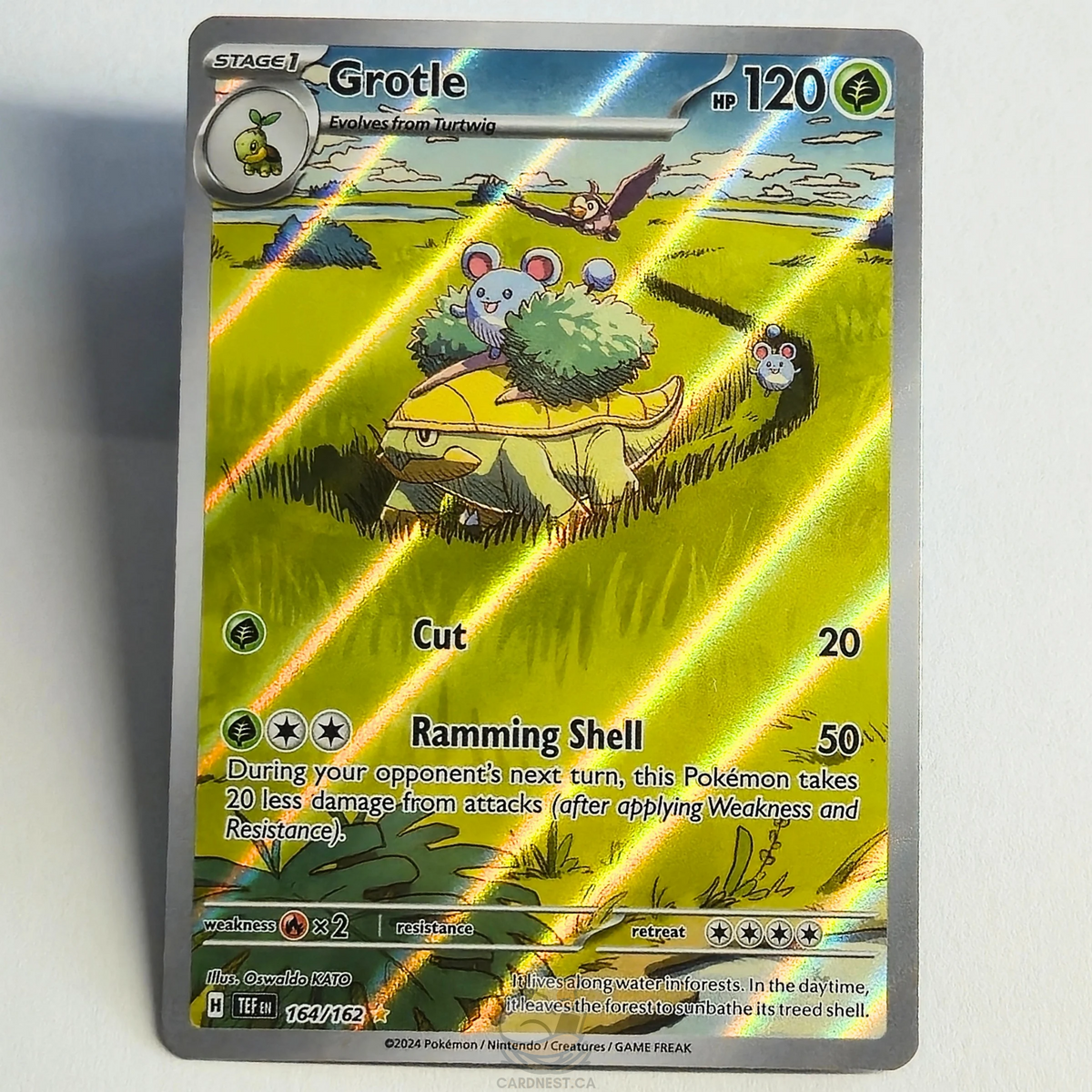 Grotle 164/162 Full Art Illustration Rare – Temporal Forces – Near Mint – English