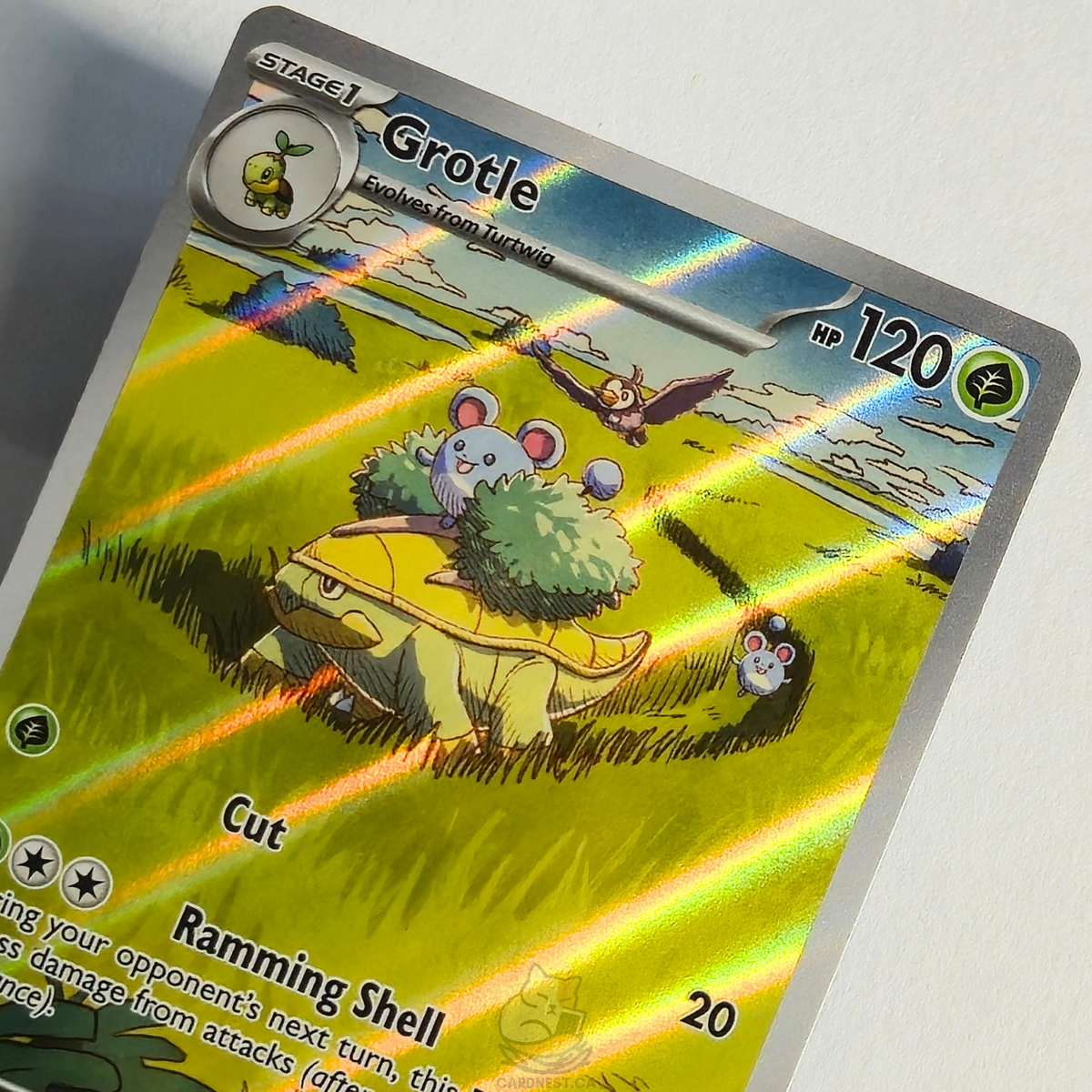 Grotle 164/162 Full Art Illustration Rare – Temporal Forces – Near Mint – English