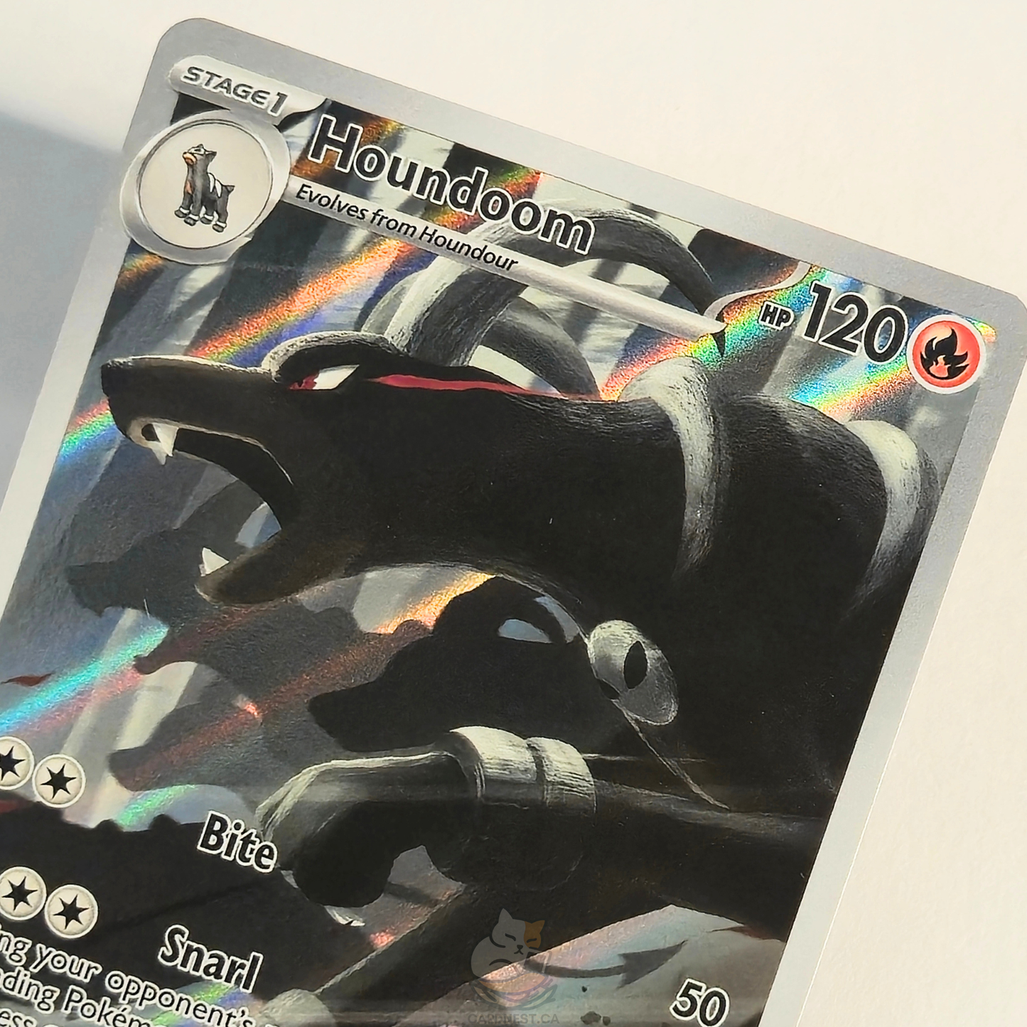 Houndoom 066/064 Full Art Illustration Rare – Shrouded Fable – Near Mint – English