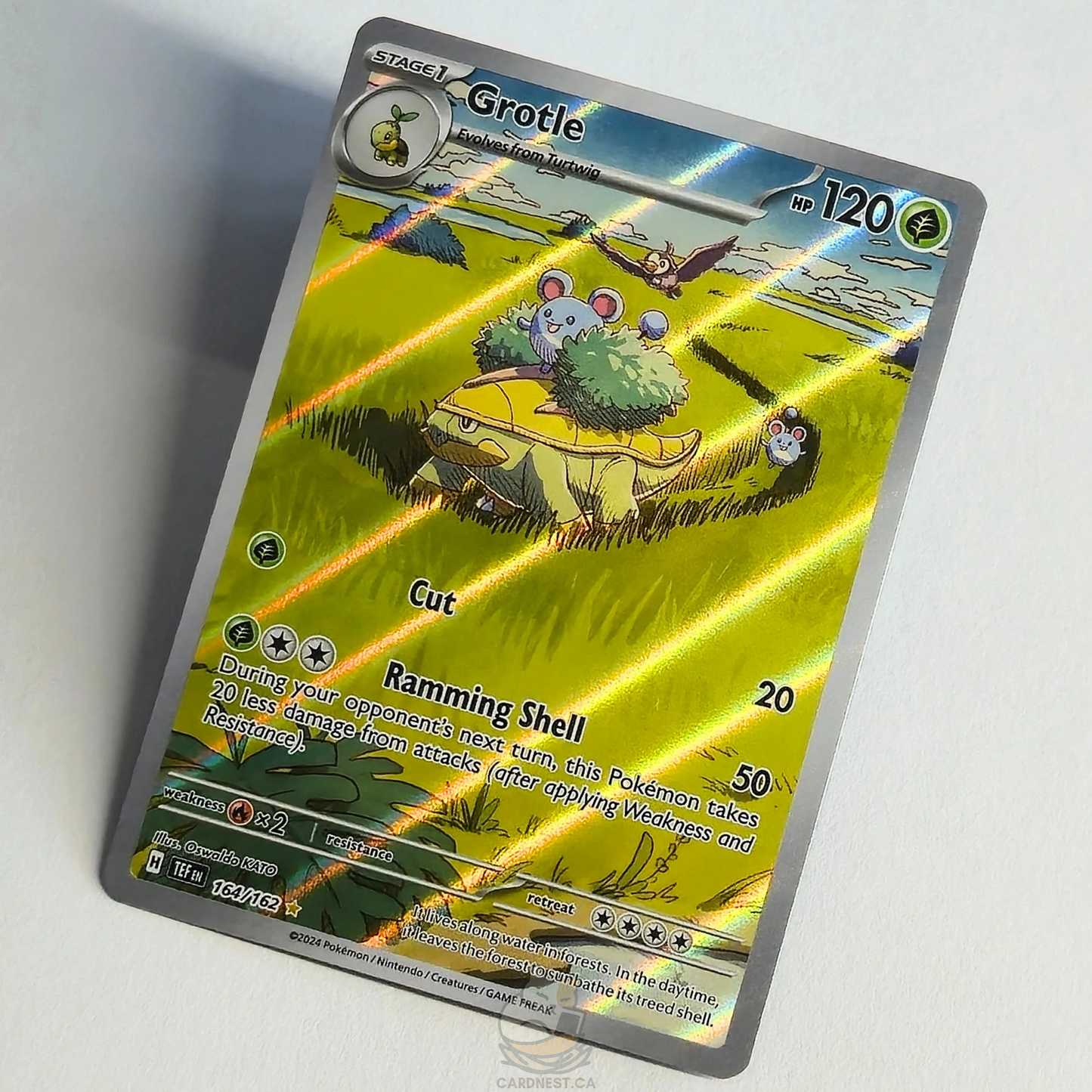 Grotle 164/162 Full Art Illustration Rare – Temporal Forces – Near Mint – English